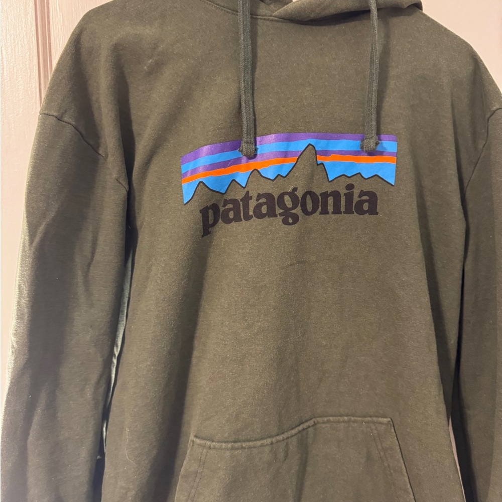 Patagonia Men's Forest Green Hoodie
